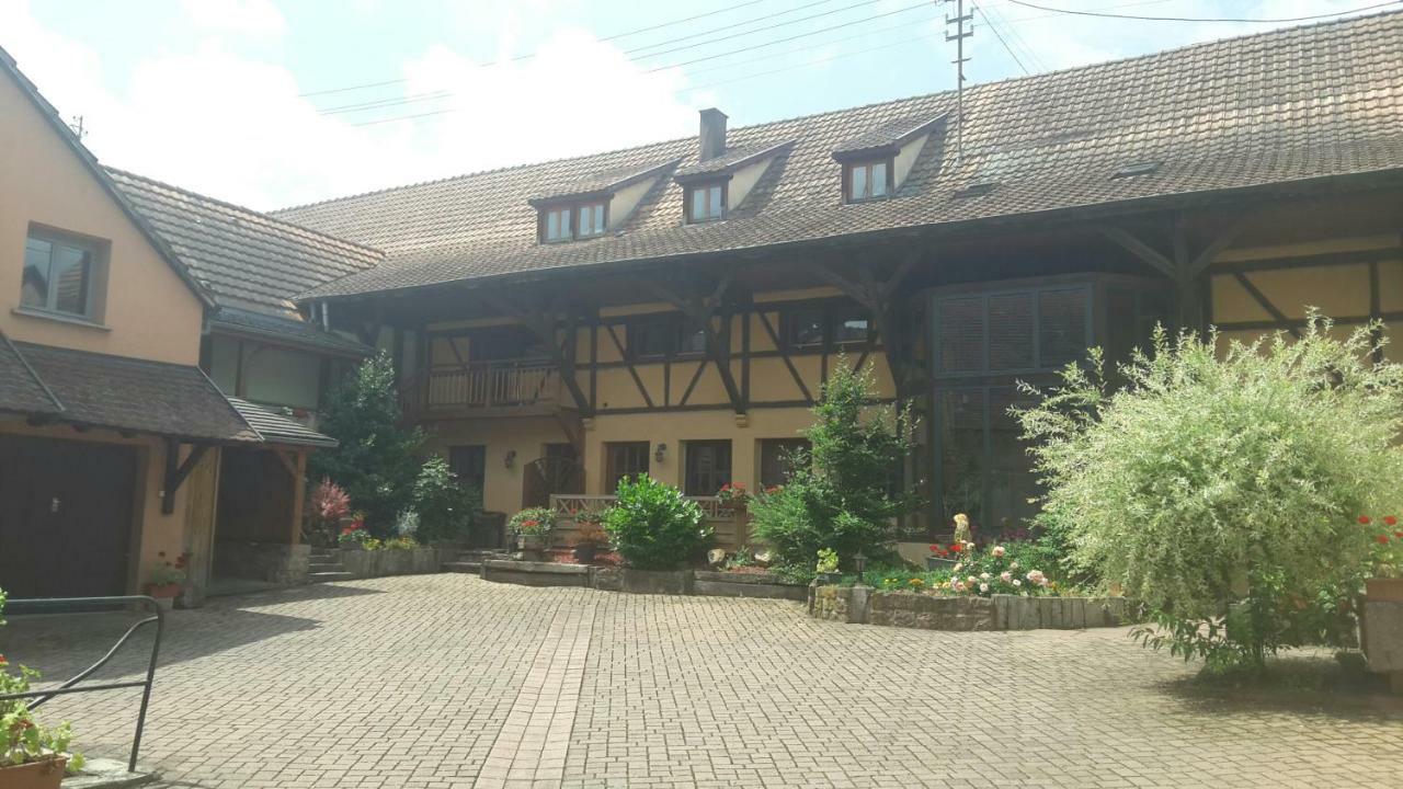 Chez Frederic Et Alexandre Apartment Bennwihr Екстериор снимка
