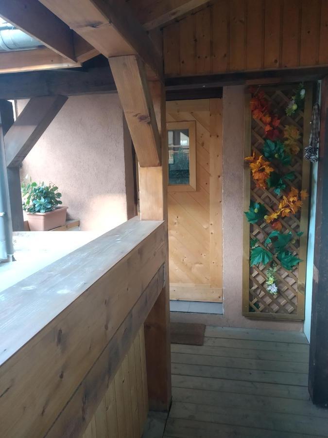 Chez Frederic Et Alexandre Apartment Bennwihr Екстериор снимка