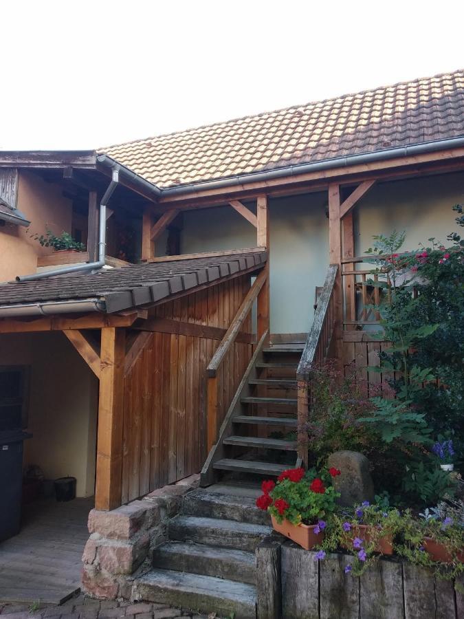 Chez Frederic Et Alexandre Apartment Bennwihr Екстериор снимка
